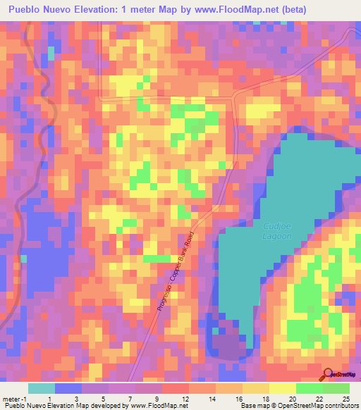 Pueblo Nuevo,Belize Elevation Map