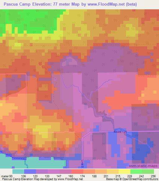 Pascua Camp,Belize Elevation Map