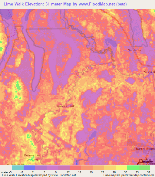 Lime Walk,Belize Elevation Map
