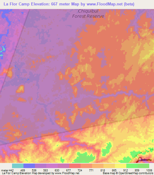 La Flor Camp,Belize Elevation Map