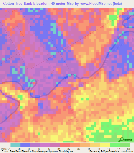 Cotton Tree Bank,Belize Elevation Map