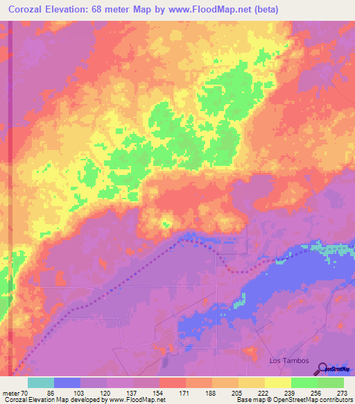 Corozal,Belize Elevation Map
