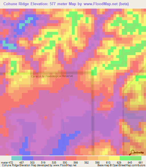 Cohune Ridge,Belize Elevation Map