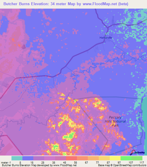 Butcher Burns,Belize Elevation Map