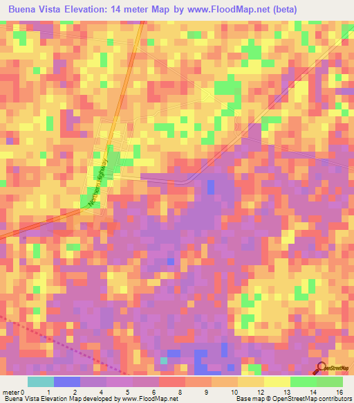 Buena Vista,Belize Elevation Map