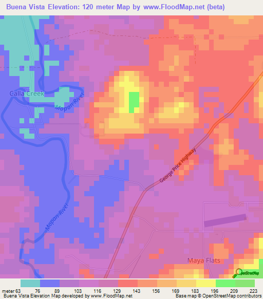 Buena Vista,Belize Elevation Map