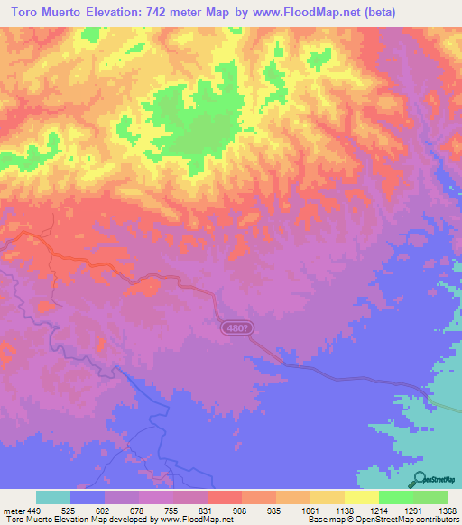 Toro Muerto,Honduras Elevation Map