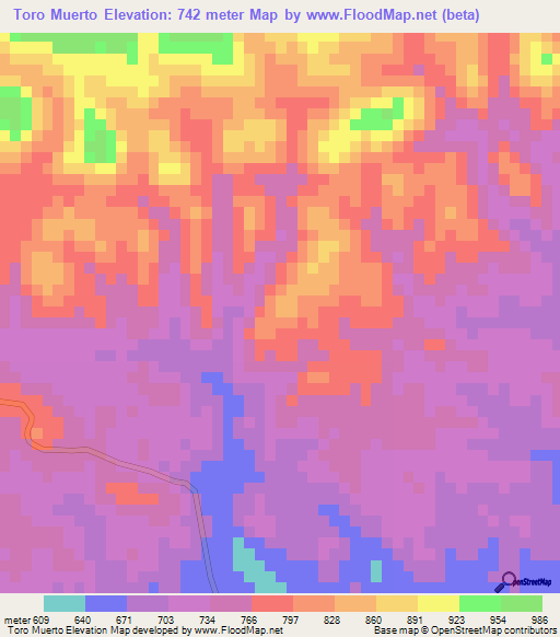 Toro Muerto,Honduras Elevation Map