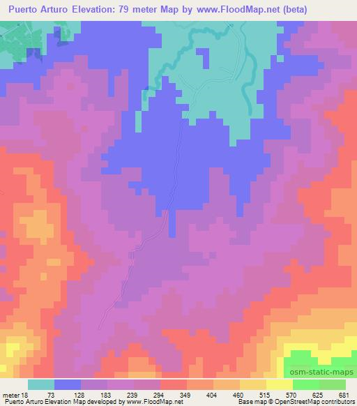 Puerto Arturo,Honduras Elevation Map