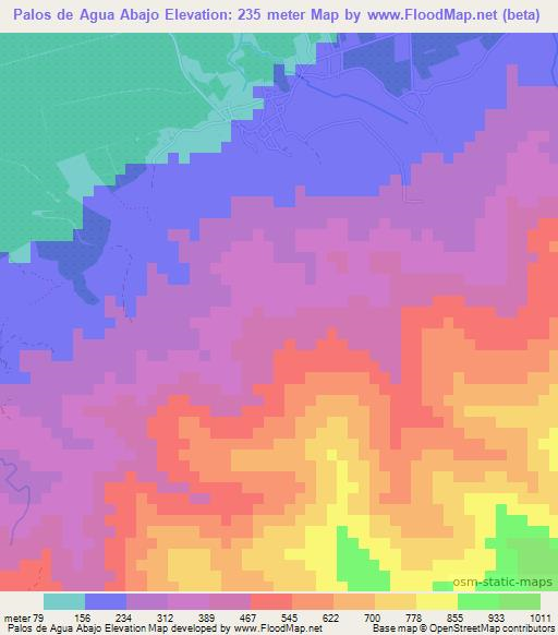 Palos de Agua Abajo,Honduras Elevation Map