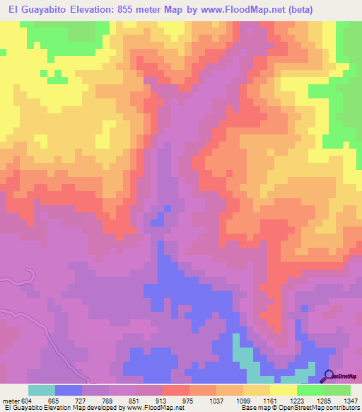 El Guayabito,Honduras Elevation Map