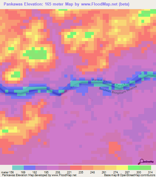 Pankawas,Nicaragua Elevation Map