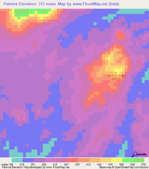 Palmira,Nicaragua Elevation Map