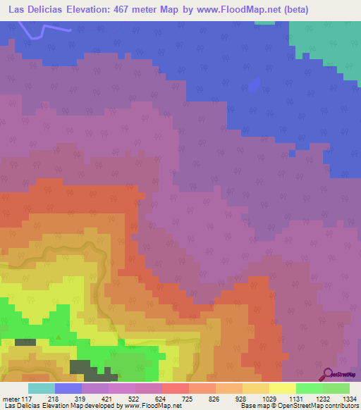 Las Delicias,Nicaragua Elevation Map
