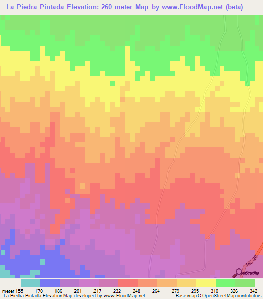 La Piedra Pintada,Nicaragua Elevation Map