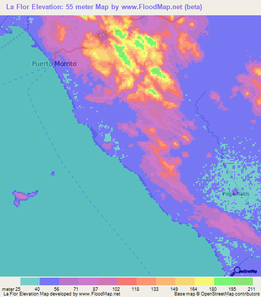 La Flor,Nicaragua Elevation Map