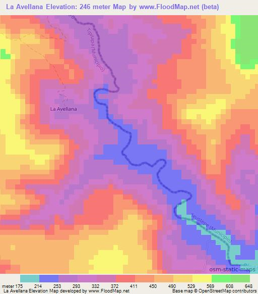 La Avellana,Nicaragua Elevation Map