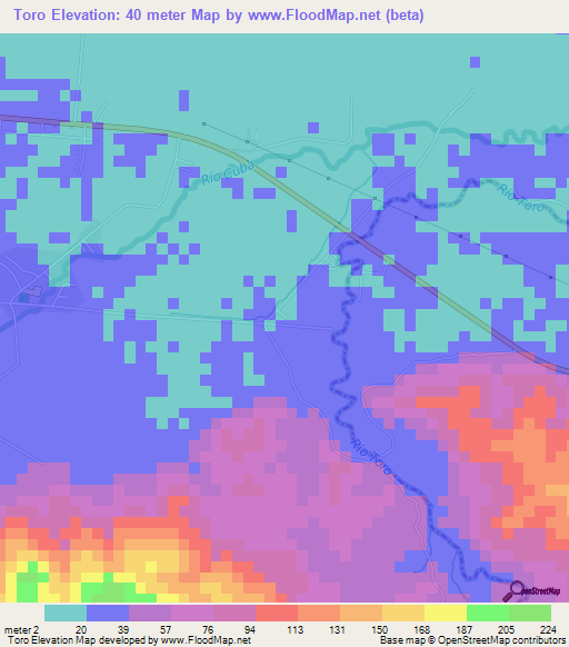 Toro,Costa Rica Elevation Map