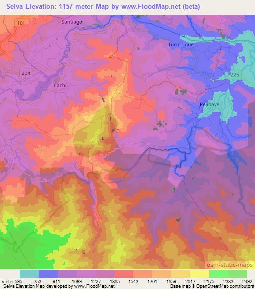 Selva,Costa Rica Elevation Map