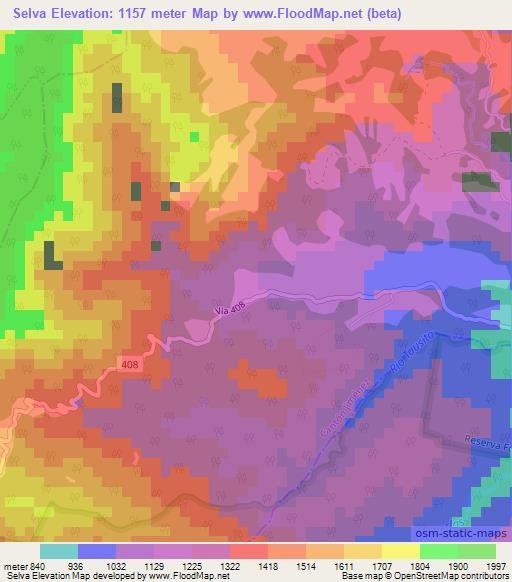 Selva,Costa Rica Elevation Map