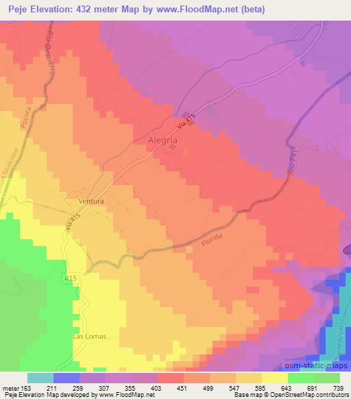 Peje,Costa Rica Elevation Map