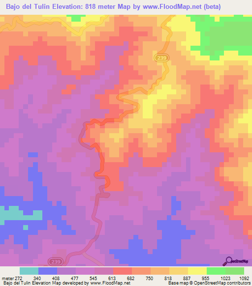 Bajo del Tulin,Costa Rica Elevation Map