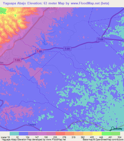 Yaguapa Abajo,Venezuela Elevation Map