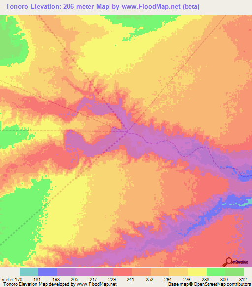 Tonoro,Venezuela Elevation Map
