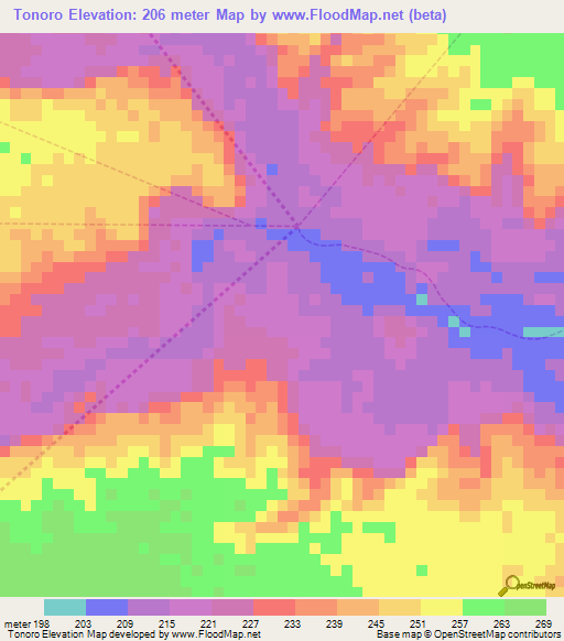 Tonoro,Venezuela Elevation Map