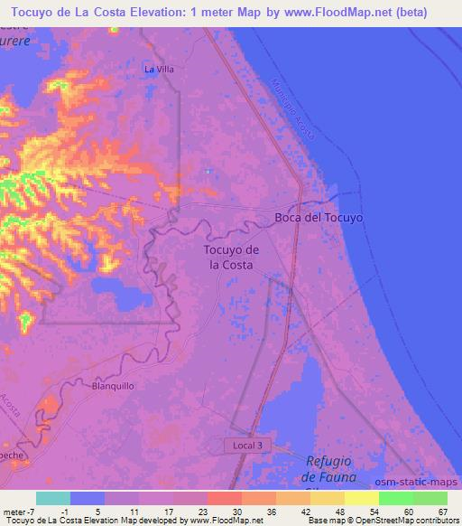Tocuyo de La Costa,Venezuela Elevation Map