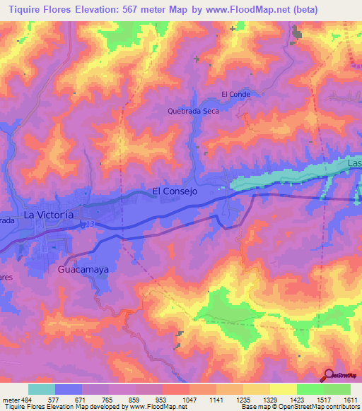 Tiquire Flores,Venezuela Elevation Map