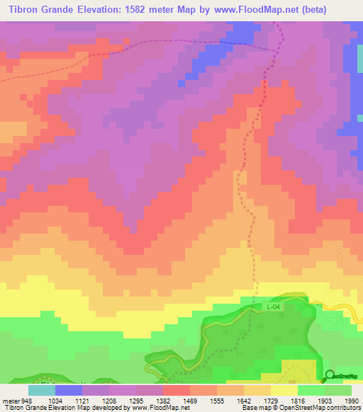 Tibron Grande,Venezuela Elevation Map