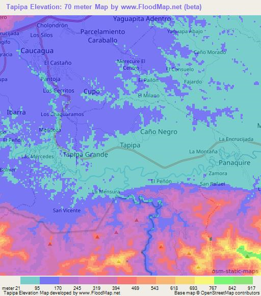Tapipa,Venezuela Elevation Map