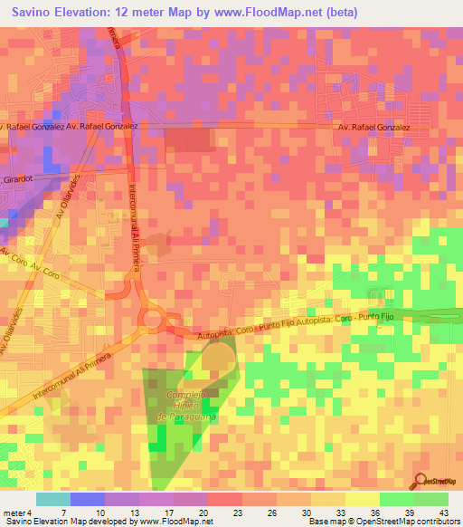 Savino,Venezuela Elevation Map