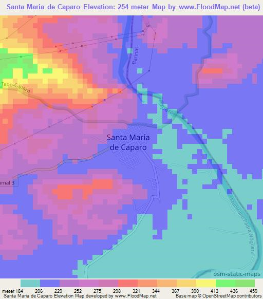 Santa Maria de Caparo,Venezuela Elevation Map