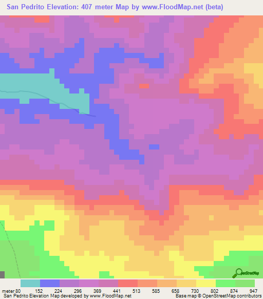 San Pedrito,Venezuela Elevation Map