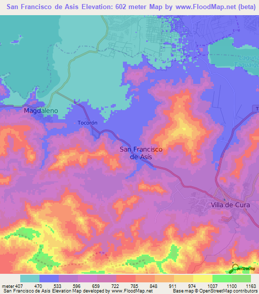 San Francisco de Asis,Venezuela Elevation Map