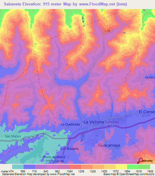 Sabaneta,Venezuela Elevation Map