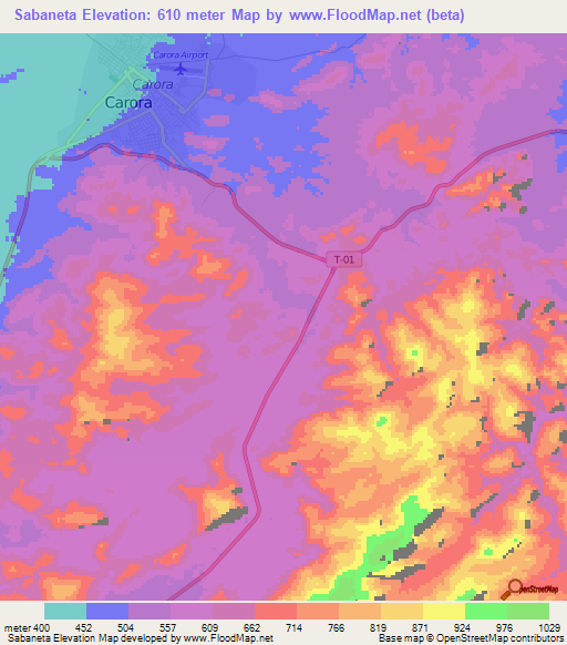 Sabaneta,Venezuela Elevation Map