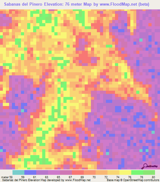 Sabanas del Pinero,Venezuela Elevation Map