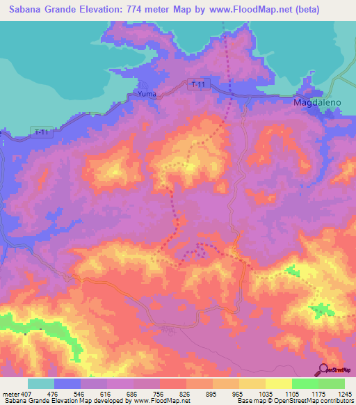 Sabana Grande,Venezuela Elevation Map