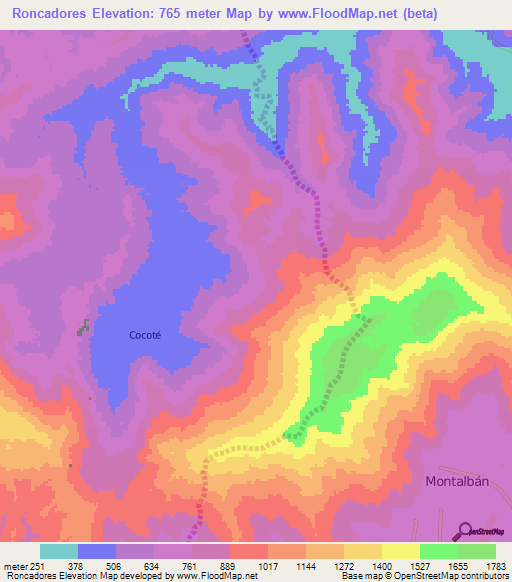 Roncadores,Venezuela Elevation Map