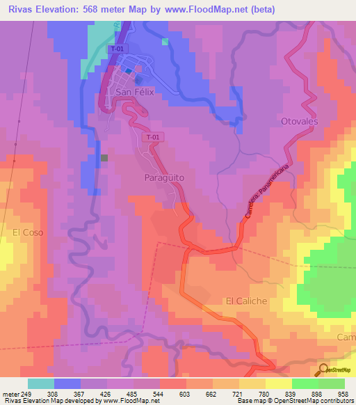 Rivas,Venezuela Elevation Map