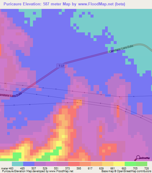 Puricaure,Venezuela Elevation Map