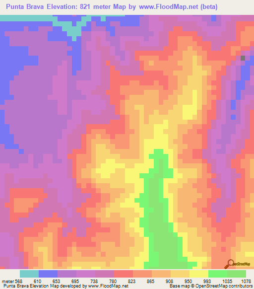 Punta Brava,Venezuela Elevation Map