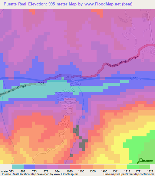Puente Real,Venezuela Elevation Map