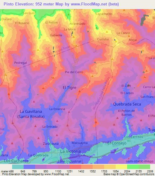 Pinto,Venezuela Elevation Map