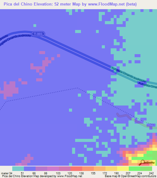 Pica del Chino,Venezuela Elevation Map