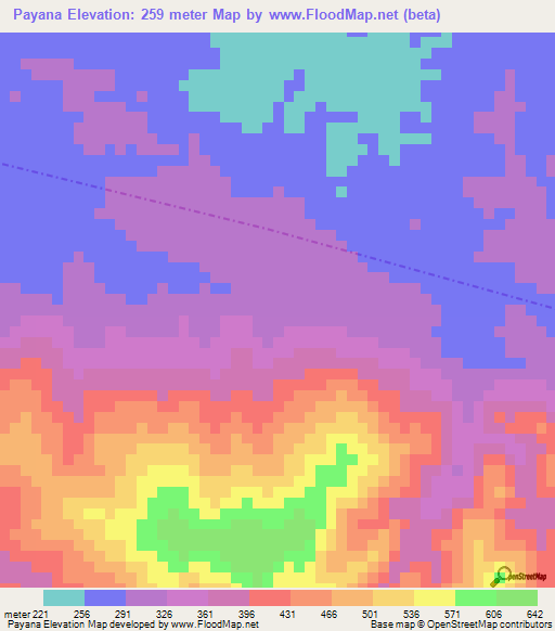 Payana,Venezuela Elevation Map
