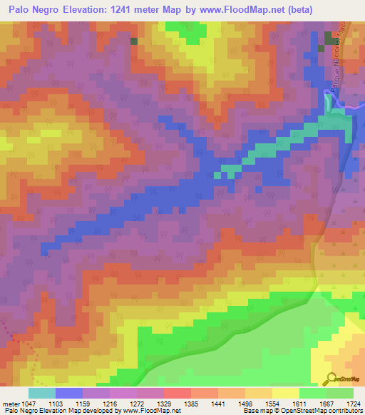 Palo Negro,Venezuela Elevation Map